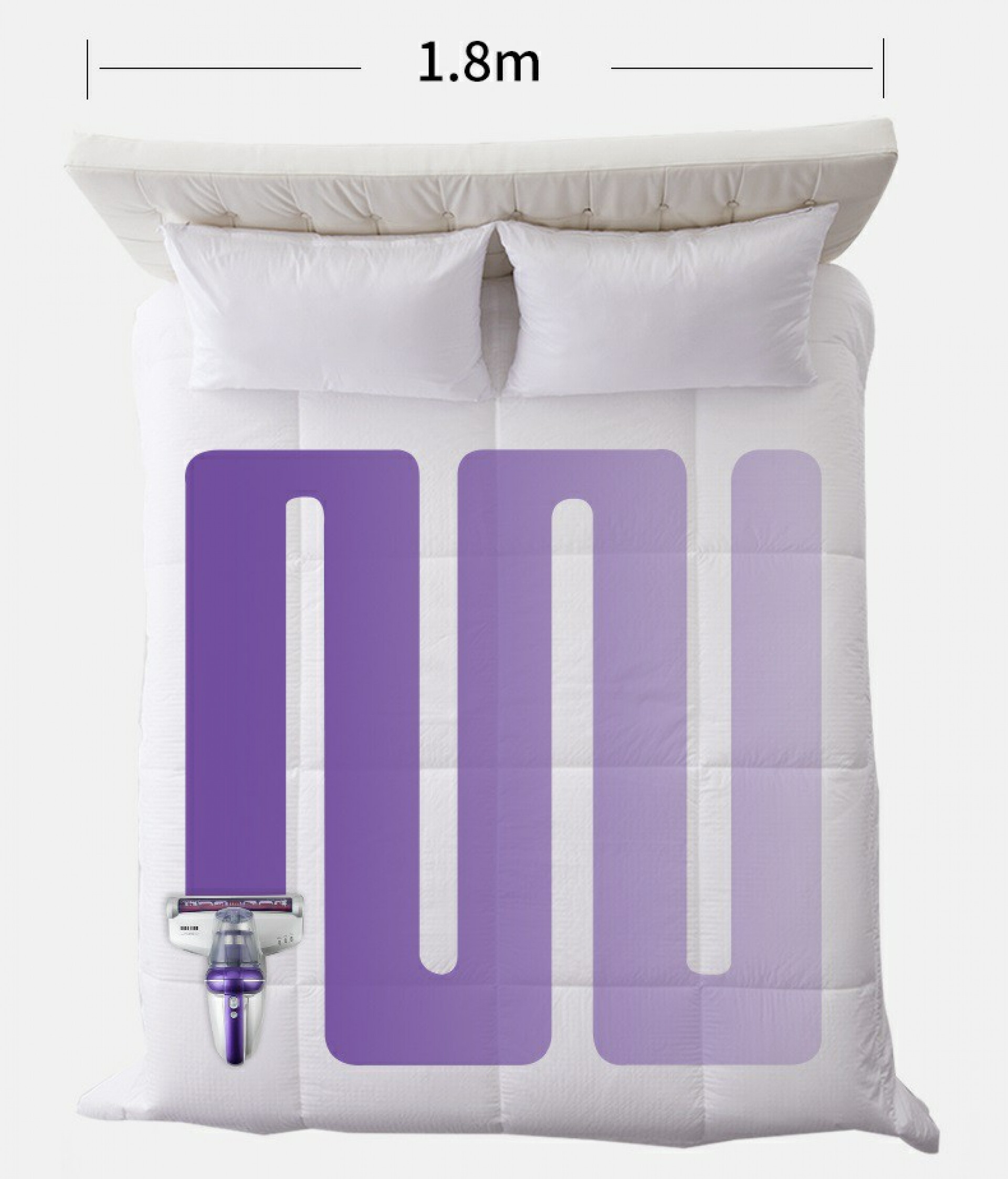 volutpat felis euismod congue fames