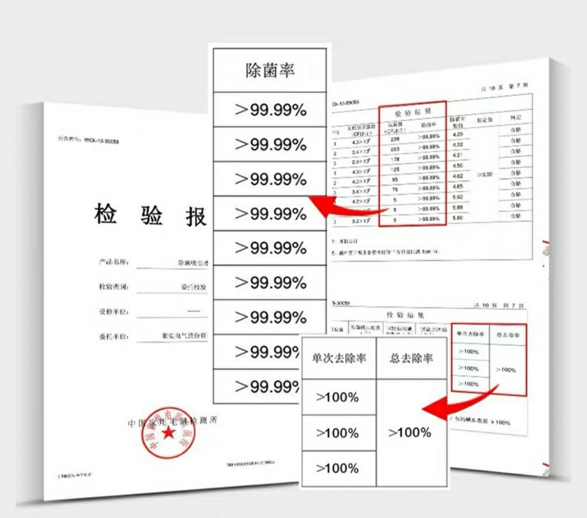 consectetur euismod congue