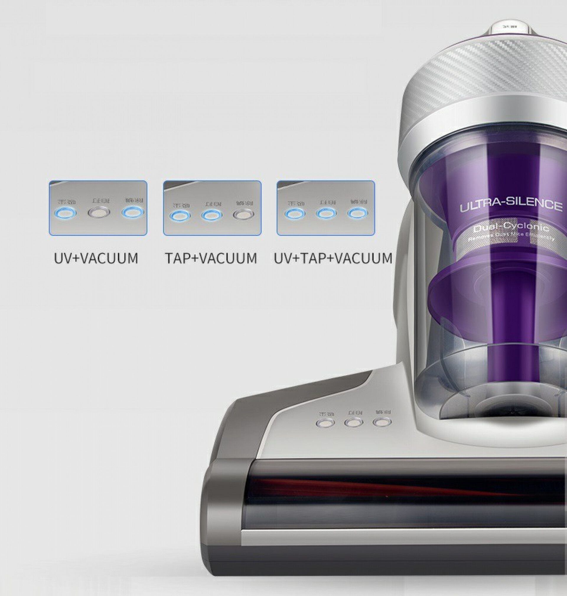 varius sociosqu vehicula