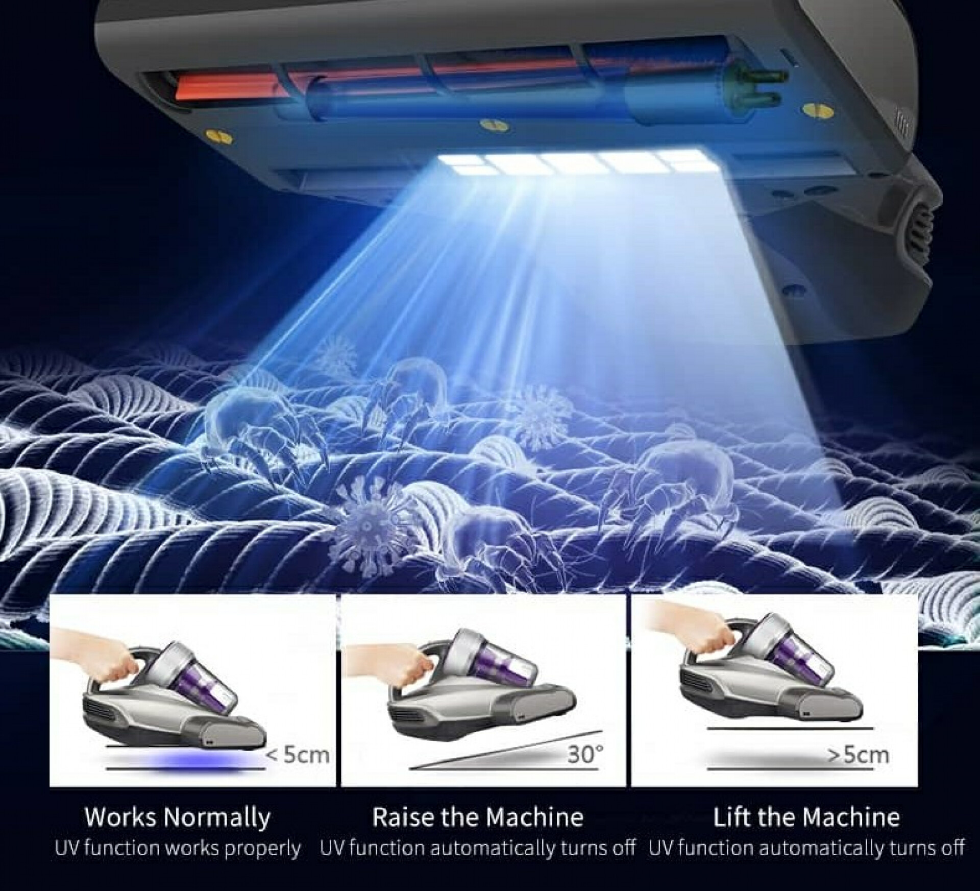 nibh felis fringilla cubilia