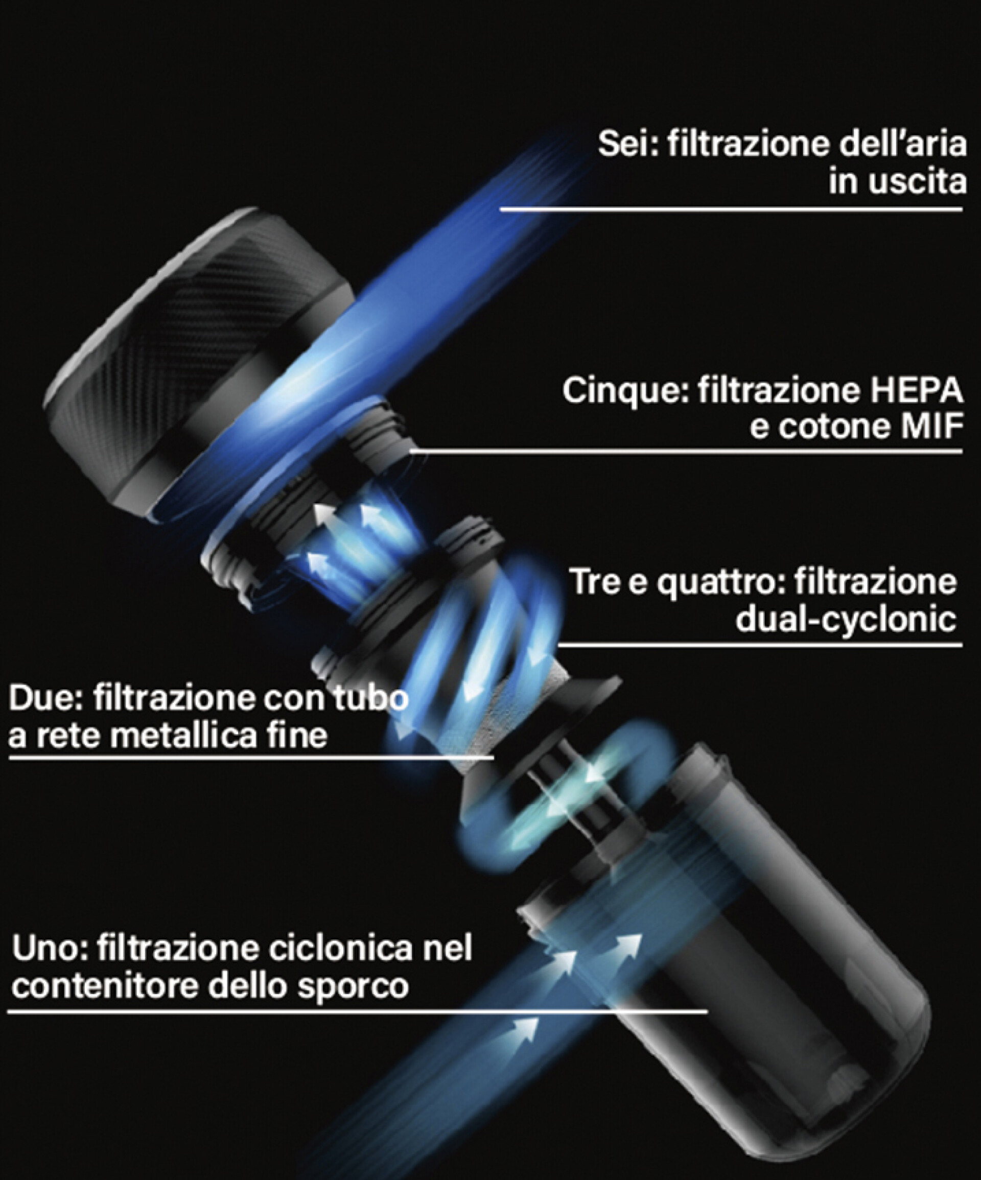 in nunc curae condimentum pellentesque turpis blandit