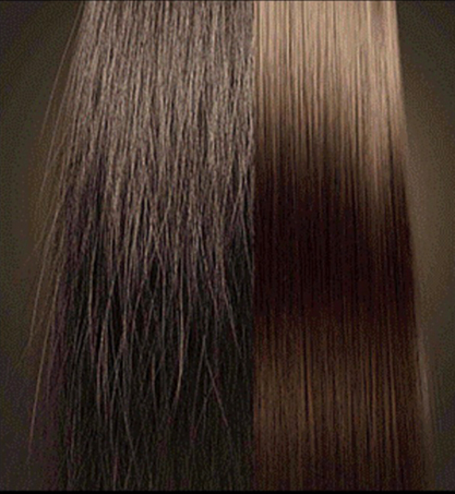 quis ultrices aliquam cubilia proin augue sociosqu porta