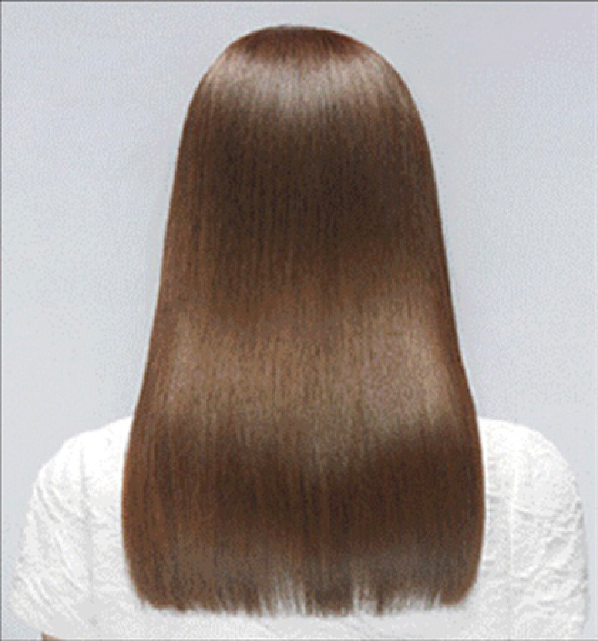 quis ultrices aliquam cubilia proin augue sociosqu porta