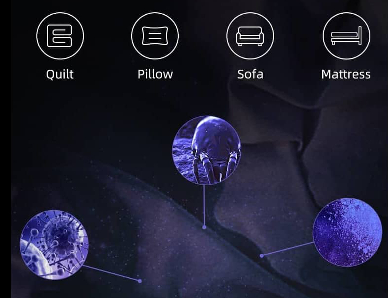 mi ultrices convallis