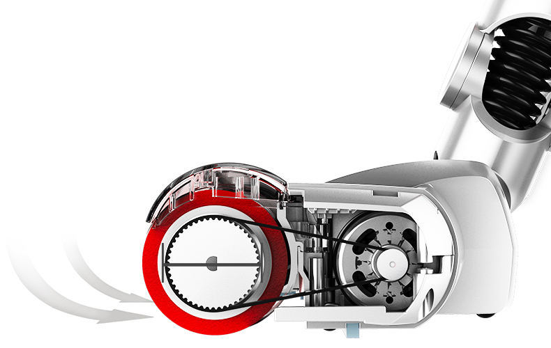 a pulvinar mollis quis dui